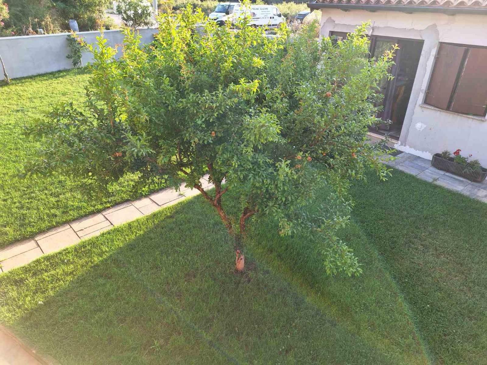 Apartments Ines พูลา ภายนอก รูปภาพ